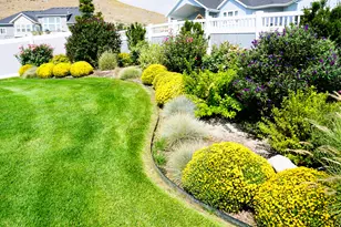 9903 N Lippizan Way E, Eagle Mountain, UT 84005 - Photo 57