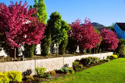 9903 N Lippizan Way E, Eagle Mountain, UT 84005 - Photo 7