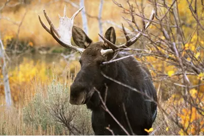 1870 S Beaver Bench Rd #1442, Heber City, UT 84032 - Photo 33