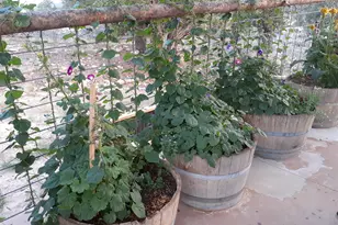 7587 S 39700 W, Fruitland, UT 84027 - Photo 45