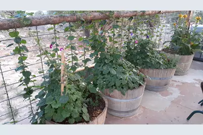 7587 S 39700 W, Fruitland, UT 84027 - Photo 73