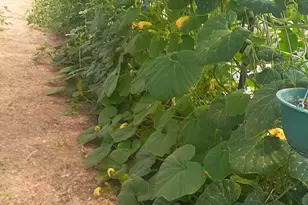 7587 S 39700 W, Fruitland, UT 84027 - Photo 67