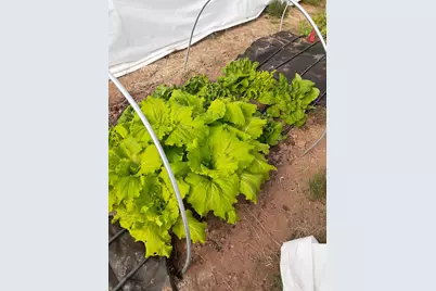 7587 S 39700 W, Fruitland, UT 84027 - Photo 71