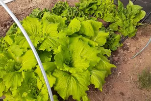 7587 S 39700 W, Fruitland, UT 84027 - Photo 69