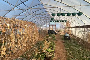 7587 S 39700 W, Fruitland, UT 84027 - Photo 43