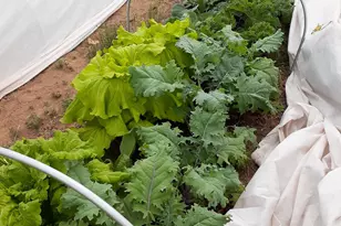 7587 S 39700 W, Fruitland, UT 84027 - Photo 43