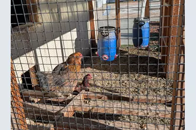 6017 W Fragrant Ln, Herriman, UT 84096 - Photo 35