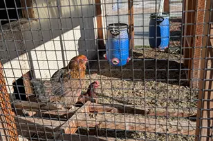 6017 W Fragrant Ln, Herriman, UT 84096 - Photo 35