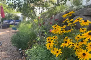 1694 E Apple Orchard Ct S, Draper, UT 84020 - Photo 57