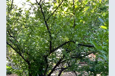 4085 S Olympic Way, Holladay, UT 84124 - Photo 35