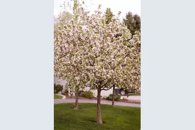 8867 S Easthills Dr E, Sandy, UT 84093 - Photo 73