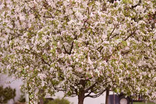 8867 S Easthills Dr E, Sandy, UT 84093 - Photo 73