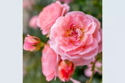 8867 S Easthills Dr E, Sandy, UT 84093 - Photo 79