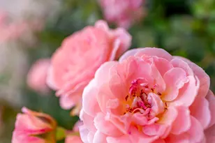 8867 S Easthills Dr E, Sandy, UT 84093 - Photo 79