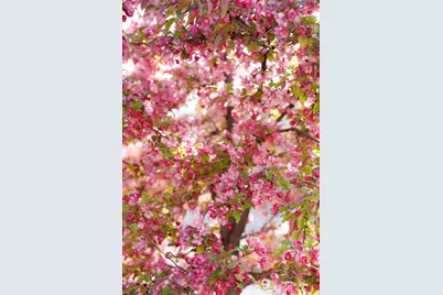 8867 S Easthills Dr E, Sandy, UT 84093 - Photo 81