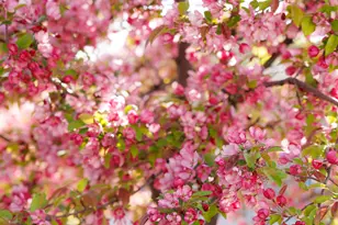 8867 S Easthills Dr E, Sandy, UT 84093 - Photo 81