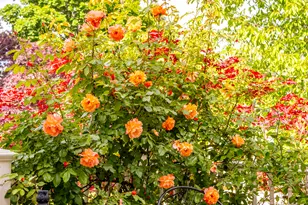 8867 S Easthills Dr E, Sandy, UT 84093 - Photo 75