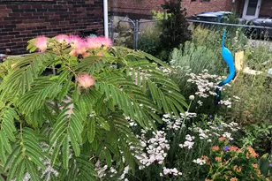 45 W Blvd, Salt Lake City, UT 84115 - Photo 57