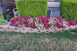 4535 W Honeycut Cir, Cedar Hills, UT 84062 - Photo 51