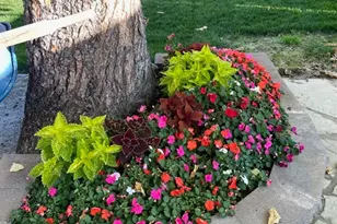 58 W 300 N, Springville, UT 84663 - Photo 23