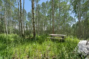 2086 W Bright Star Rd, Midway, UT 84049 - Photo 1