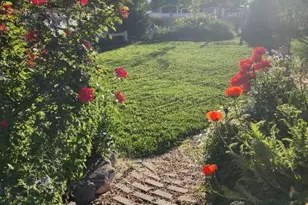 338 S 1230 E, Tooele, UT 84074 - Photo 51