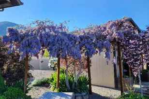 338 S 1230 E, Tooele, UT 84074 - Photo 49