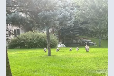 1370 E Meadow Valley Dr #24, Draper, UT 84020 - Photo 19