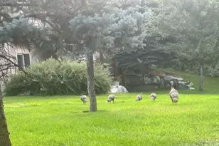 1370 E Meadow Valley Dr, Draper, UT 84020 - Photo 19