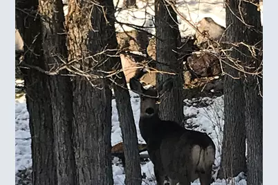 1370 E Meadow Valley Dr #24, Draper, UT 84020 - Photo 21