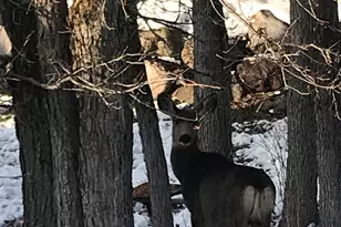 1370 E Meadow Valley Dr, Draper, UT 84020 - Photo 21