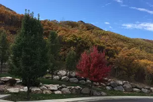 1370 E Meadow Valley Dr, Draper, UT 84020 - Photo 13