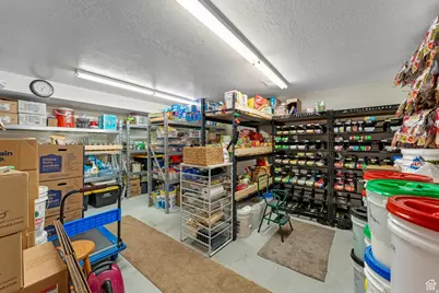 1405 S 200 W, Mona, UT 84645 - Photo 45