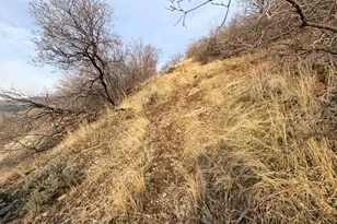 [Address not provided], Bountiful, UT 84010 - Photo 33