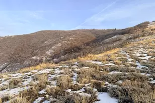 [Address not provided], Bountiful, UT 84010 - Photo 15