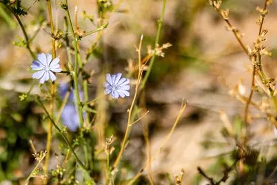 5855 E Pioneer Ridge Cir #195, Salt Lake City, UT 84108 - Photo 55