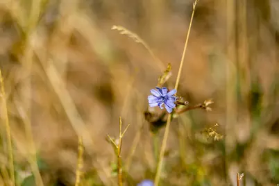 5855 E Pioneer Ridge Cir #195, Salt Lake City, UT 84108 - Photo 51