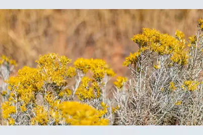 5855 E Pioneer Ridge Cir #195, Salt Lake City, UT 84108 - Photo 33