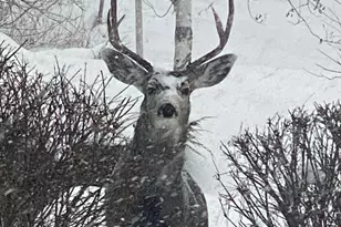 7980 S 2800 E, South Weber, UT 84405 - Photo 47