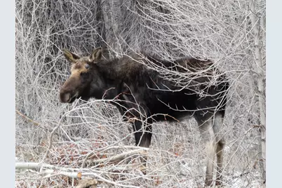 5866 Mirror Lake Hwy, Coalville, UT 84017 - Photo 3