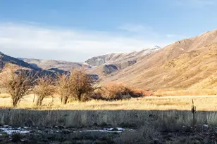 554 W 1150 N, Midway, UT 84049 - Photo 35