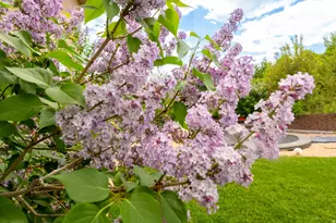 566 Wild Willow Dr, Francis, UT 84036 - Photo 43