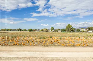 1104 W 10125 S, South Jordan, UT 84095 - Photo 29
