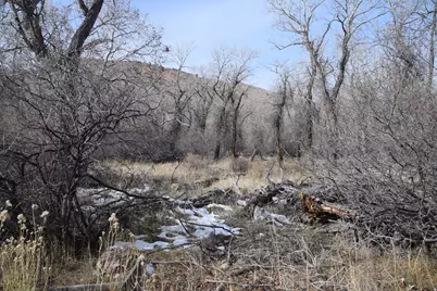 [Address not provided], Sevier, UT 84766 - Photo 29