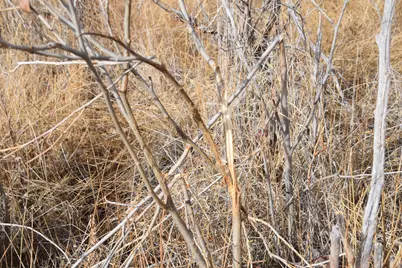 [Address not provided], Sevier, UT 84766 - Photo 45