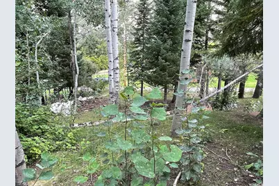 [Address not provided], Provo Canyon, UT 84604 - Photo 9