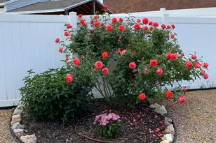 6508 W Cottontail Dr S, West Valley, UT 84128 - Photo 47