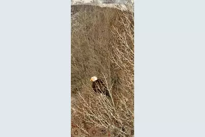 303 S Clyde Lake Dr #303, Heber City, UT 84032 - Photo 3