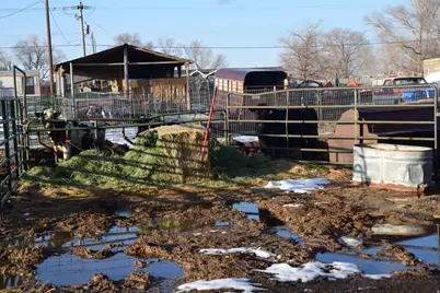 [Address not provided], Delta, UT 84624 - Photo 11