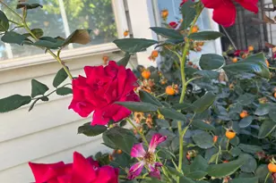 7529 S Springbrook Dr W, West Jordan, UT 84084 - Photo 31